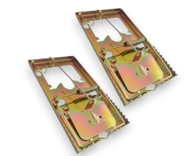 Bootstrap Image Preview