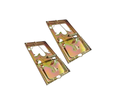 Bootstrap Image Preview